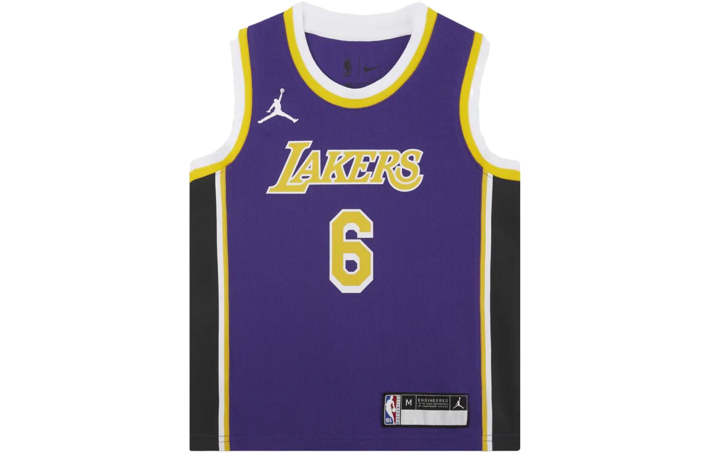 Air Jordan NBA Los Angeles Lakers LeBron James Youth Jersey | Purple #6 | GS | DR1055-504