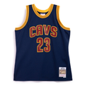 Mitchell & Ness NBA Cleveland Cavaliers LeBron James Swingman Jersey | 2015/16 Alternate | JY8628-CCAASBL