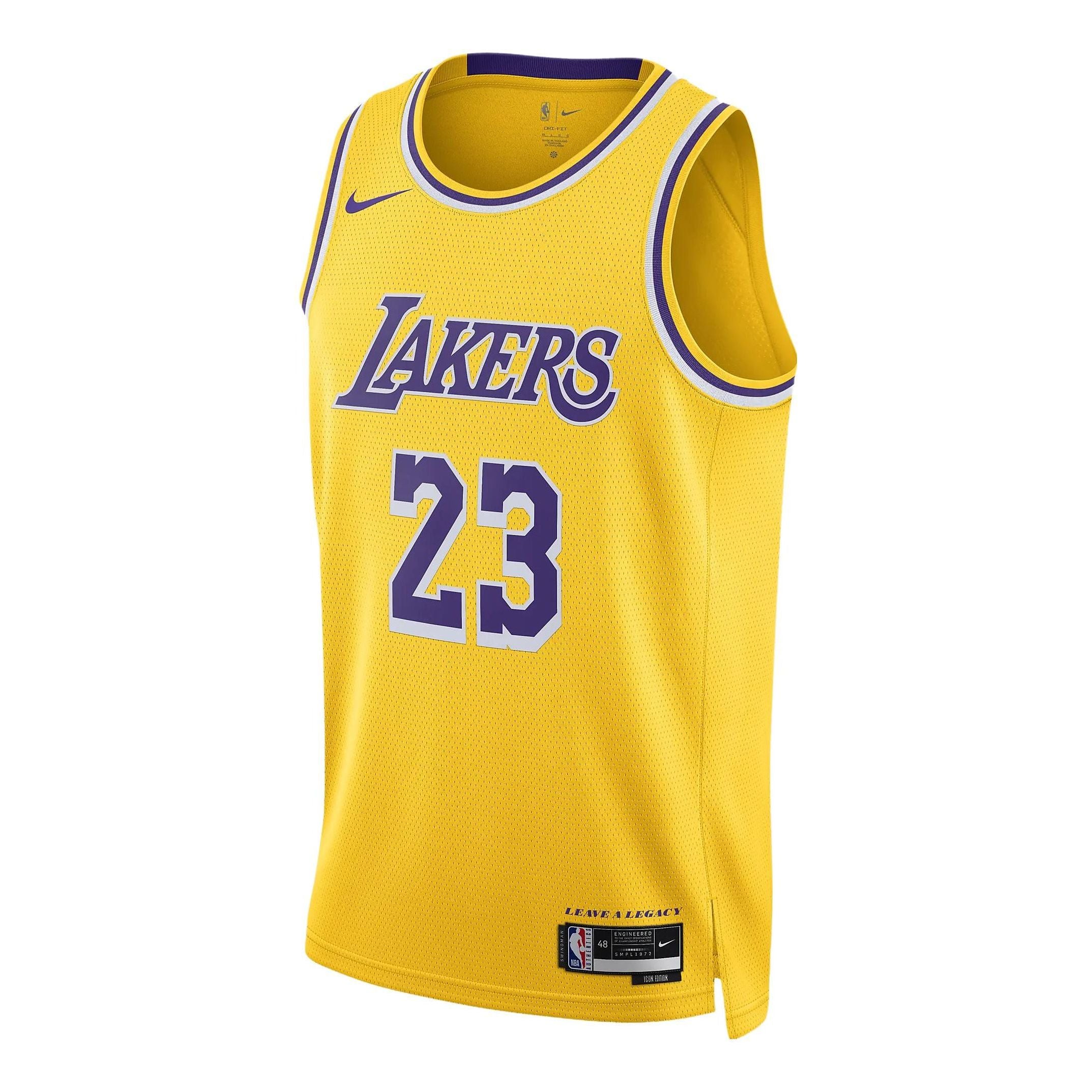 Nike NBA Los Angeles Lakers LeBron James Icon Edition Jersey | 2022/23 | DN2009-733