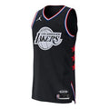 Air Jordan NBA Authentic Jersey – Los Angeles Lakers LeBron James #23 (2019 All-Star Edition, Black)